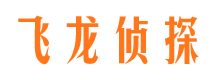 东西湖市私家侦探